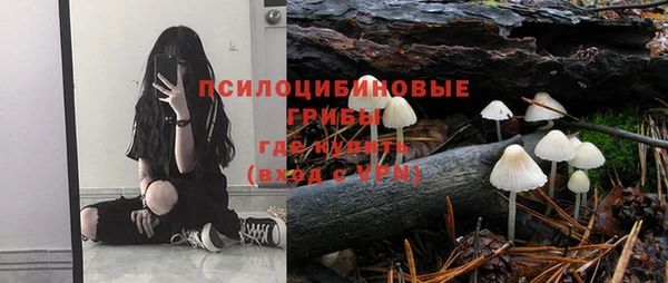 apvp Михайловка